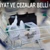 Çevre koruma kanunu resmileşti