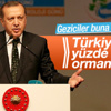 Erdoğan Türkiye Çınar Yılı etkinliğinde konuştu