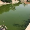 Basra'daki su zehirlenmesi vakasından milletvekilleri de payını aldı