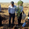Suruç'ta Sgdf'li Gençler Anısına Orman Suruç'ta Sgdf'li Gençler Anısına Orman