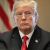 Trump Japonya eski Başbakanı Abe ziyaretinde ikram masraflarını fatura etti Trump Japonya eski Başbakanı Abe ziyaretinde ikram masraflarını fatura etti