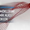 Beyni elektronik ilaç tedavi edecek Beyni elektronik ilaç tedavi edecek
