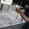 Resmen fışkırdı! Tam 500 ton Resmen fışkırdı! Tam 500 ton