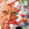 Nobel ödülüne rekor fiyat Nobel ödülüne rekor fiyat
