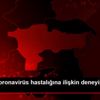 Maldini, koronavirüs hastalığına ilişkin deneyimini ... Maldini, koronavirüs hastalığına ilişkin deneyimini ...