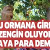 Bursa'da yapılıyor Ekim'den Ocak ayına kadar! Bu ormana giren zengin oluyor paraya para demiyor! Bursa'da yapılıyor Ekim'den Ocak ayına kadar! Bu ormana giren zengin oluyor paraya para demiyor!