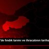 Karadeniz de fındık tarımı ve ihracatının tarihsel ... Karadeniz de fındık tarımı ve ihracatının tarihsel ...