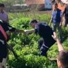 Kuyuya düşen inek, iş makinesiyle kurtarıldı