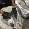 Adana'da bir apartmanın bodrum katında 11 kilo 282 gram esrar ele geçirildi Adana'da bir apartmanın bodrum katında 11 kilo 282 gram esrar ele geçirildi