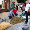 Kürtün Fındığı Pazarda Kürtün Fındığı Pazarda