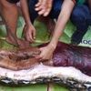 Tosunculukla ilgili bomba iddia! 24 saat içinde... Tosunculukla ilgili bomba iddia! 24 saat içinde...