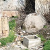 Tarihi hamam fare yuvasına döndü Tarihi hamam fare yuvasına döndü