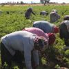 Acıdan para kazanıyorlar Acıdan para kazanıyorlar
