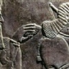 'IŞİD antik kente dozerlerle girdi' 'IŞİD antik kente dozerlerle girdi'