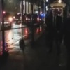 New York’ta protesto edilen Davutoğlu, otele ‘kargo’ kapısından girdi New York’ta protesto edilen Davutoğlu, otele ‘kargo’ kapısından girdi
