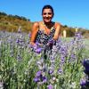 100 euroya lavanta yağı 100 euroya lavanta yağı