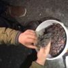 Erik kurusu içerisine saklanan uyuşturucuyu narkotik köpeği buldu Erik kurusu içerisine saklanan uyuşturucuyu narkotik köpeği buldu