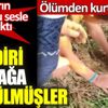 ﻿Diri diri toprağa gömülmüşler. Ölümden kurtarıldılar
