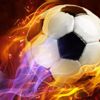 Dick Advocaat: Trabzonspor maçından sonra, pazartesi günü ülkeme döneceğim Dick Advocaat: Trabzonspor maçından sonra, pazartesi günü ülkeme döneceğim