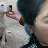 Küçük kıza okul yolunda pitbull saldırdı Küçük kıza okul yolunda pitbull saldırdı