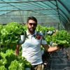 Suda marul yetiştirip, üretim hızını 3 kat artırdı