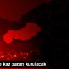 Gerede de kaz pazarı kurulacak Gerede de kaz pazarı kurulacak