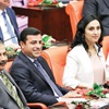 Eş başkanlara 'müebbetlik' dokunma!