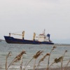 Foça'nın Bodyer Kabusu Bitti Foça'nın Bodyer Kabusu Bitti