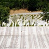 Srebrenica tasarısı BMGK'da Srebrenica tasarısı BMGK'da