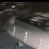 ﻿Oğluna havladığı için köpeğe ateş etti