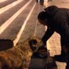 Sokağa çıkma yasağında polis hayvanları unutmadı Sokağa çıkma yasağında polis hayvanları unutmadı