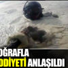 Bu fotoğrafla işin ciddiyeti anlaşıldı Bu fotoğrafla işin ciddiyeti anlaşıldı