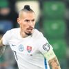 Hamsik müjdesi