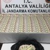 Sahte dolar operasyonu: 5 gözaltı