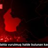 Evinde silahla vurulmuş halde bulunan kadın öldü Evinde silahla vurulmuş halde bulunan kadın öldü