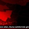 Jandarmanın atları, Bursa sahillerinde göreve başladı Jandarmanın atları, Bursa sahillerinde göreve başladı