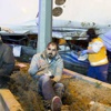 Belediye otobüsü köprüden uçtu