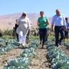 Gürpınar Belediyesi Açık Sera Kurdu Gürpınar Belediyesi Açık Sera Kurdu
