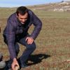 Nohut ekerken bulmuştu... Satışa çıkardı!