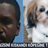 Karısının ilgisini kıskanınca köpeğine tecavüz etti!
