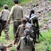 PKK'nın bölge sorumlusu yakalandı!