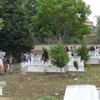 'Katil döndü' paniği... Cenazeyi bırakıp kaçtılar 'Katil döndü' paniği... Cenazeyi bırakıp kaçtılar