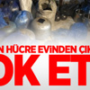 PKK'ya darbe!