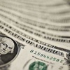 Dolar 3 TL'yi gördü Dolar 3 TL'yi gördü