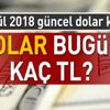 Dolar ve euro ne kadar? Dolar kuru ne kadar? İşte 5 Eylül 2018 güncel döviz fiyatları Dolar ve euro ne kadar? Dolar kuru ne kadar? İşte 5 Eylül 2018 güncel döviz fiyatları