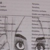 Okul dergisindeki şiirde çalışan kadına hakaret iddiası