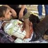 Otlattığı boğanın boynuz darbeleriyle yaralandı