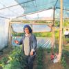 Bileziklerini satarak sera kurdu Bileziklerini satarak sera kurdu