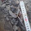 Dev kelebek görenleri şaşırttı Dev kelebek görenleri şaşırttı