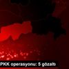Şırnak ta PKK operasyonu: 5 gözaltı Şırnak ta PKK operasyonu: 5 gözaltı